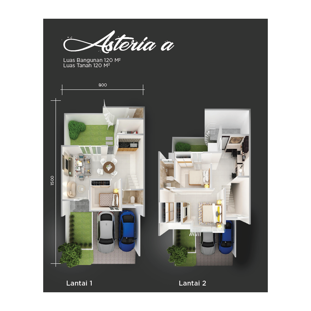Layout Asteria C